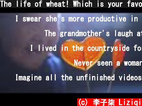 The life of wheat! Which is your favorite food made from wheat?关于小麦的一生，你最爱吃哪种面食？丨Liziqi Channel  (c) 李子柒 Liziqi