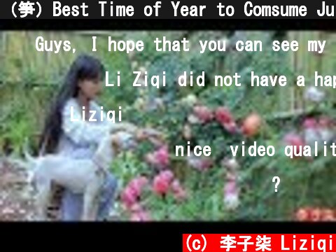 （笋）Best Time of Year to Comsume Juicy and Tender Bamboo Shoots; Pick As Much As You Like|Liziqi  (c) 李子柒 Liziqi