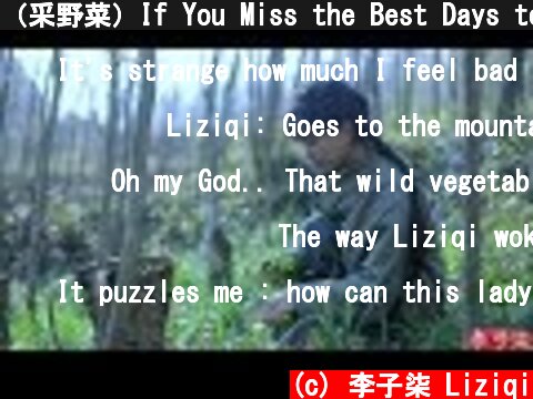 （采野菜）If You Miss the Best Days to Pick Wild Herbs, You’ve Missed the Entire Spring |Liziqi Channel  (c) 李子柒 Liziqi