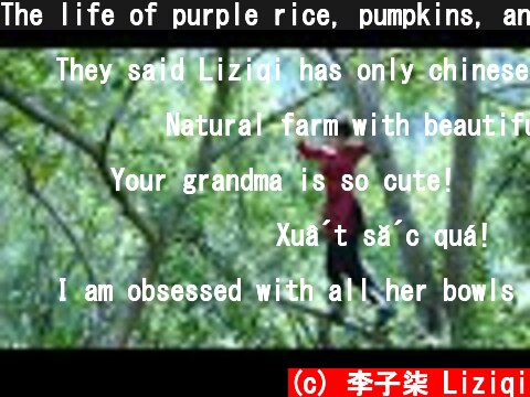 The life of purple rice, pumpkins, and … peanuts紫米南瓜的一生…，还有花生丨Liziqi Channel  (c) 李子柒 Liziqi