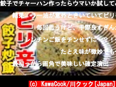 餃子でチャーハン作ったらウマいか試してみた「Gyoza fried rice」  (c) KawaCook/川クック[Japan]