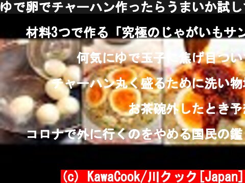 ゆで卵でチャーハン作ったらうまいか試してみた「Nasi goreng telur rebus/उबला हुआ अंडा तला हुआ चावल」  (c) KawaCook/川クック[Japan]
