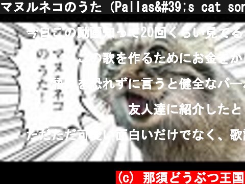 マヌルネコのうた（Pallas's cat song）Official MV  (c) 那須どうぶつ王国