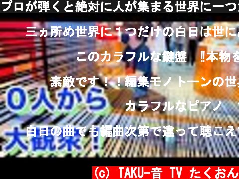 プロが弾くと絶対に人が集まる世界に一つだけの『白日』！第三弾渋谷キットカット！【ストリートピアノ】  (c) TAKU-音 TV たくおん