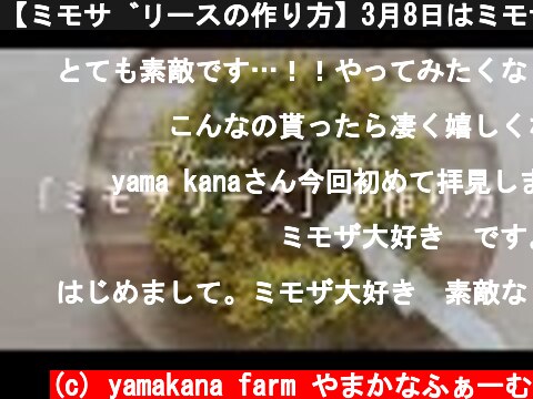【ミモザリースの作り方】3月8日はミモザの日 / 誰でも簡単に作れます / ラッピングまでお見せします / How to make Mimosa Wreath【ガーデニング】  (c) yamakana farm やまかなふぁーむ
