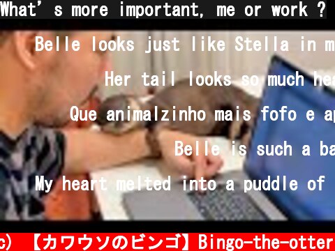 What’s more important, me or work ?  (c) 【カワウソのビンゴ】Bingo-the-otter
