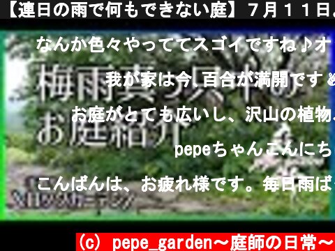 【連日の雨で何もできない庭】７月１１日。ロックガーデンの今をご紹介。  (c) pepe_garden〜庭師の日常〜
