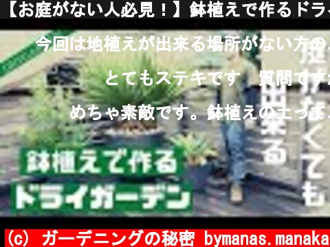 【お庭がない人必見！】鉢植えで作るドライガーデン！！  (c) ガーデニングの秘密 bymanas.manaka