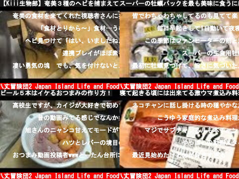 八丈冒険団2 Japan Island Life and Food（おすすめch紹介）