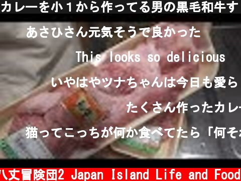 カレーを小１から作ってる男の黒毛和牛すじカレー！  (c) 八丈冒険団2 Japan Island Life and Food