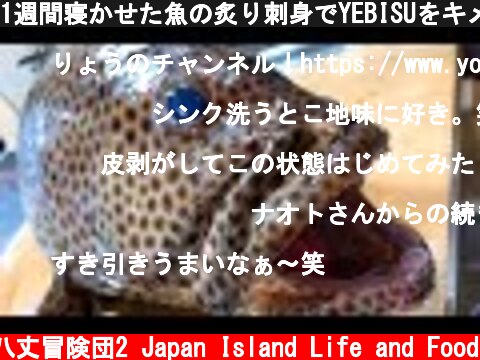 1週間寝かせた魚の炙り刺身でYEBISUをキメる！  (c) 八丈冒険団2 Japan Island Life and Food