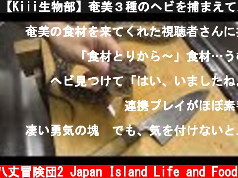【Kiii生物部】奄美３種のヘビを捕まえてスープにしよう！  (c) 八丈冒険団2 Japan Island Life and Food