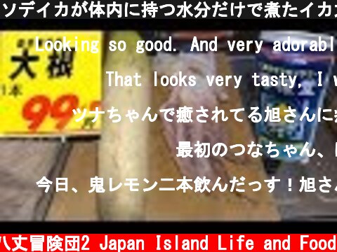 ソデイカが体内に持つ水分だけで煮たイカ大根で檸檬堂を飲む！  (c) 八丈冒険団2 Japan Island Life and Food