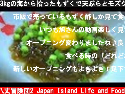 3kgの海から拾ったもずくで天ぷらとモズク酢を作る！  (c) 八丈冒険団2 Japan Island Life and Food