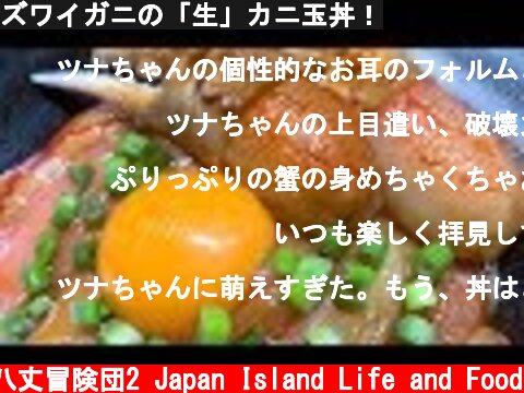 ズワイガニの「生」カニ玉丼！  (c) 八丈冒険団2 Japan Island Life and Food