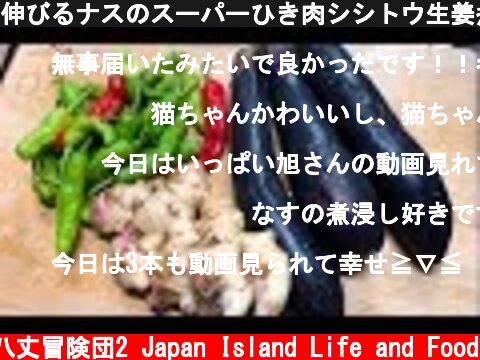伸びるナスのスーパーひき肉シシトウ生姜煮びたし！  (c) 八丈冒険団2 Japan Island Life and Food