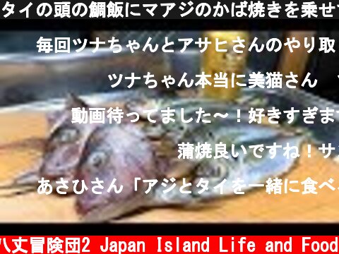タイの頭の鯛飯にマアジのかば焼きを乗せてYEBISUを飲む！  (c) 八丈冒険団2 Japan Island Life and Food