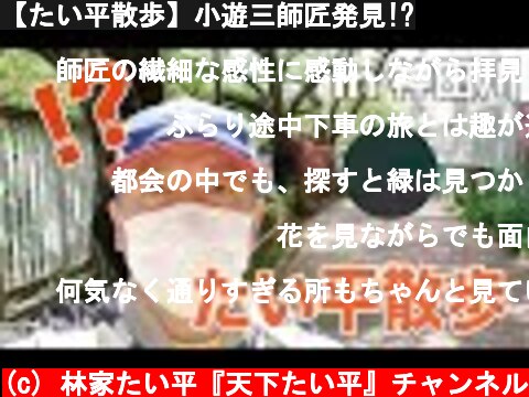 【たい平散歩】小遊三師匠発見!?  (c) 林家たい平『天下たい平』チャンネル