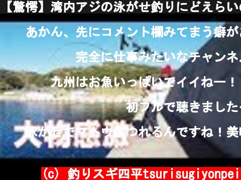 【驚愕】湾内アジの泳がせ釣りにどえらいのキタ(290話目)  (c) 釣りスギ四平tsurisugiyonpei