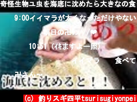 奇怪生物ユ虫を海底に沈めたら大きなの食ってきた！！！  (c) 釣りスギ四平tsurisugiyonpei
