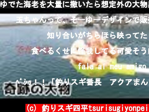 ゆでた海老を大量に撒いたら想定外の大物出現(372話目)  (c) 釣りスギ四平tsurisugiyonpei
