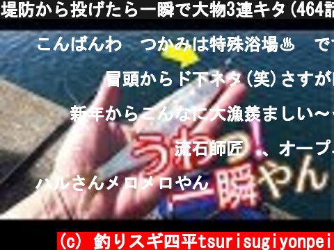 堤防から投げたら一瞬で大物3連キタ(464話目)  (c) 釣りスギ四平tsurisugiyonpei