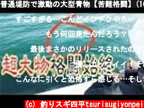 普通堤防で激動の大型青物【苦難格闘】(163話目)  (c) 釣りスギ四平tsurisugiyonpei