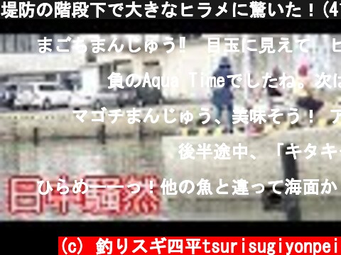 堤防の階段下で大きなヒラメに驚いた！(410話目)  (c) 釣りスギ四平tsurisugiyonpei