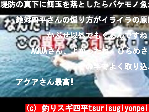 堤防の真下に餌玉を落としたらバケモノ魚が(436話目)  (c) 釣りスギ四平tsurisugiyonpei