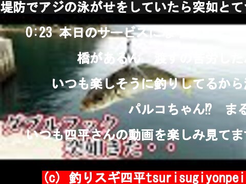 堤防でアジの泳がせをしていたら突如とてつもない衝撃が竿を叩いた  (c) 釣りスギ四平tsurisugiyonpei