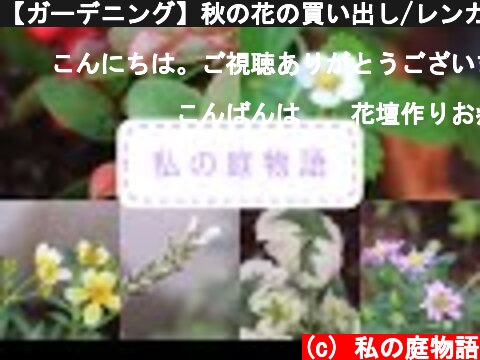 【ガーデニング】秋の花の買い出し/レンガの花壇作り  (c) 私の庭物語
