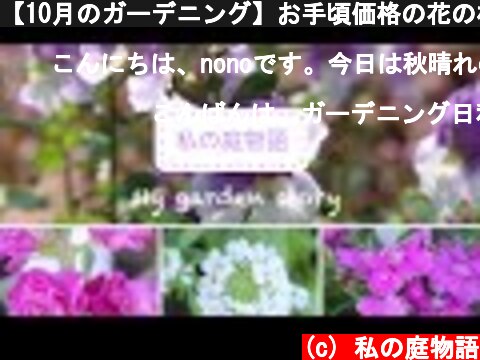 【10月のガーデニング】お手頃価格の花の植え込み/花壇を彩るグランドカバー/種まき  (c) 私の庭物語