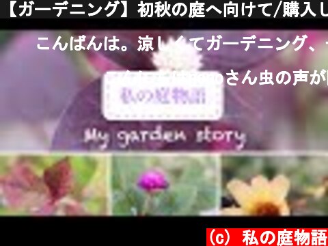 【ガーデニング】初秋の庭へ向けて/購入した秋の花紹介/伸びすぎたグランドカバー  (c) 私の庭物語