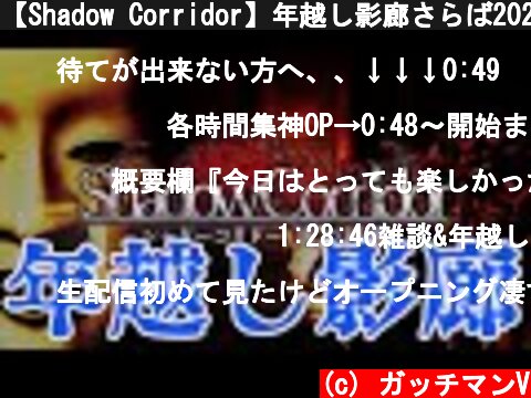 【Shadow Corridor】年越し影廊さらば2020  (c) ガッチマンV
