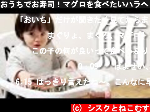 おうちでお寿司！マグロを食べたいハラヘリ1歳娘　／　Japanese 1 year old girl eats sushi at home.🍣  (c) シスクとねこむす