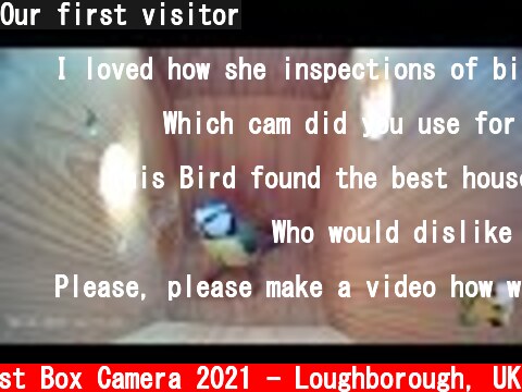 Our first visitor  (c) Live Nest Box Camera 2021 - Loughborough, UK