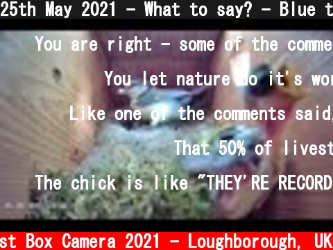 25th May 2021 - What to say? - Blue tit nest box live camera highlights  (c) Live Nest Box Camera 2021 - Loughborough, UK