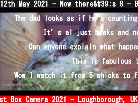 12th May 2021 - Now there's 8 - Blue tit nest box live camera highlights  (c) Live Nest Box Camera 2021 - Loughborough, UK