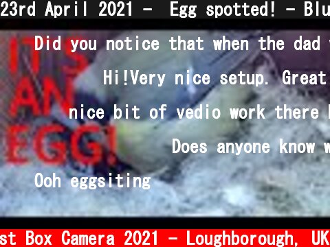 23rd April 2021 -  Egg spotted! - Blue tit nest box live camera highlights  (c) Live Nest Box Camera 2021 - Loughborough, UK