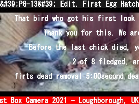 'PG-13' Edit. First Egg Hatching to Chicks Fledging VIEWER DISCRETION ADVISED. BlueTit Nest Cam 2021  (c) Live Nest Box Camera 2021 - Loughborough, UK