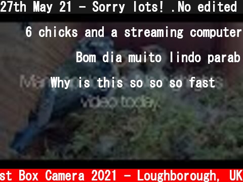 27th May 21 - Sorry lots! .No edited video today. - Blue tit nest box live camera highlights  (c) Live Nest Box Camera 2021 - Loughborough, UK
