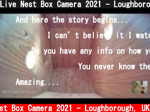 Live Nest Box Camera 2021 - Loughborough, UK Live Stream  (c) Live Nest Box Camera 2021 - Loughborough, UK