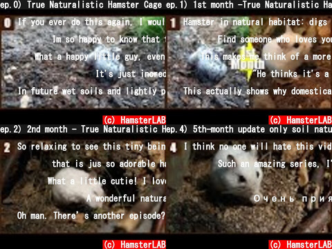 HamsterLAB（Youtube 動画 pick up）