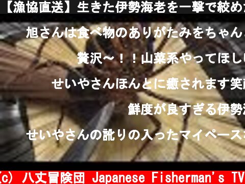 【漁協直送】生きた伊勢海老を一撃で絞めたら大暴走した！  (c) 八丈冒険団 Japanese Fisherman's TV