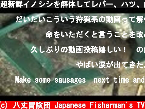 超新鮮イノシシを解体してレバー、ハツ、内ロースを刺身で食べる⁉  (c) 八丈冒険団 Japanese Fisherman's TV