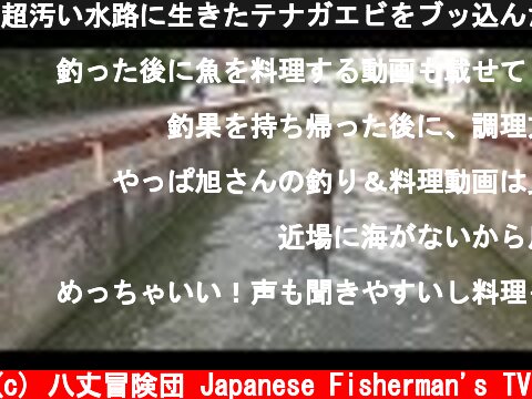 超汚い水路に生きたテナガエビをブッ込んだ結果...  (c) 八丈冒険団 Japanese Fisherman's TV