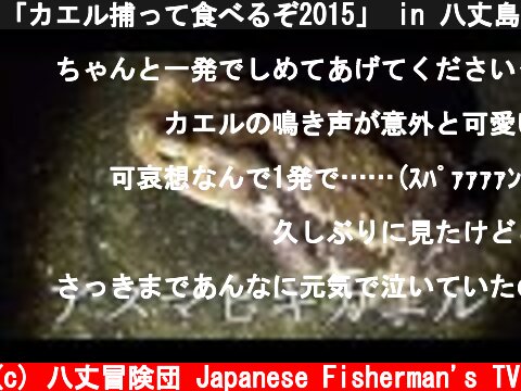 「カエル捕って食べるぞ2015」 in 八丈島  (c) 八丈冒険団 Japanese Fisherman's TV