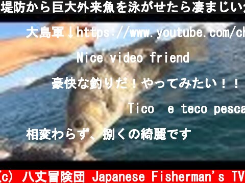 堤防から巨大外来魚を泳がせたら凄まじい魚の群れが来た！  (c) 八丈冒険団 Japanese Fisherman's TV