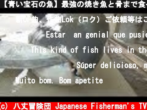 【青い宝石の魚】最強の焼き魚と骨まで食べる方法がこれだ！  (c) 八丈冒険団 Japanese Fisherman's TV