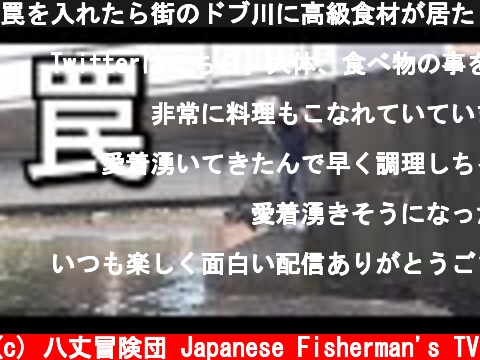 罠を入れたら街のドブ川に高級食材が居た！  (c) 八丈冒険団 Japanese Fisherman's TV
